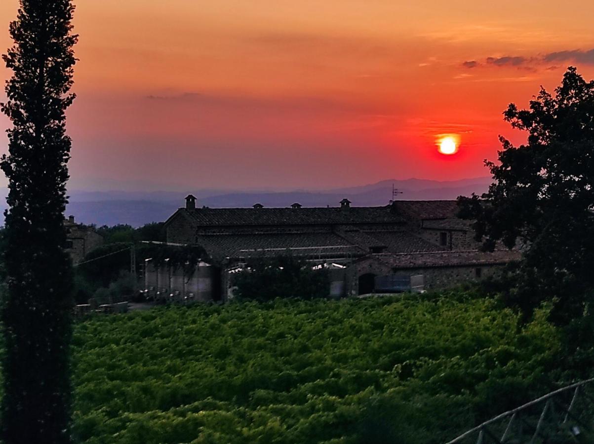 Castel Brunello Montalcino