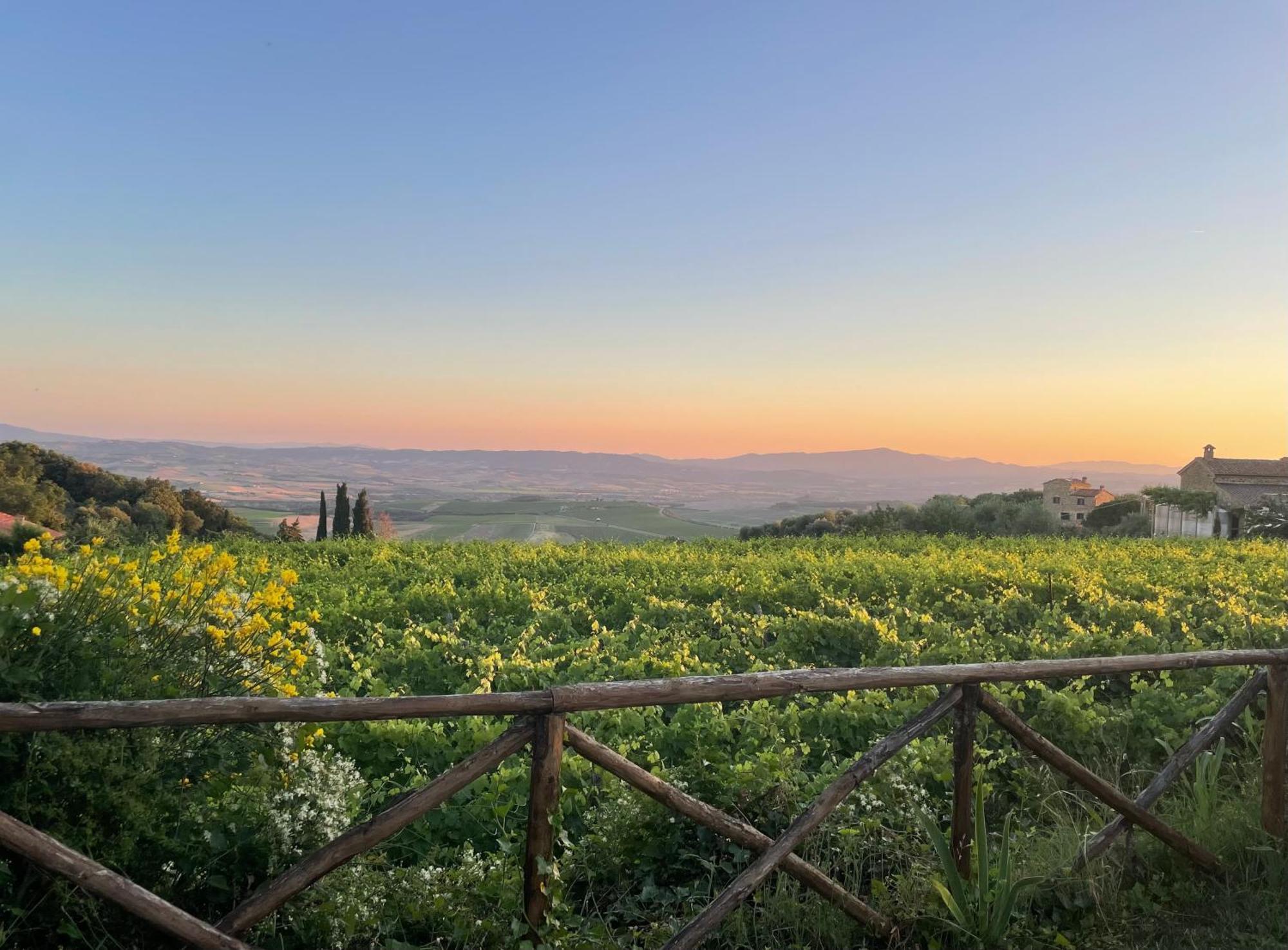 Apartamento Castel Brunello Montalcino