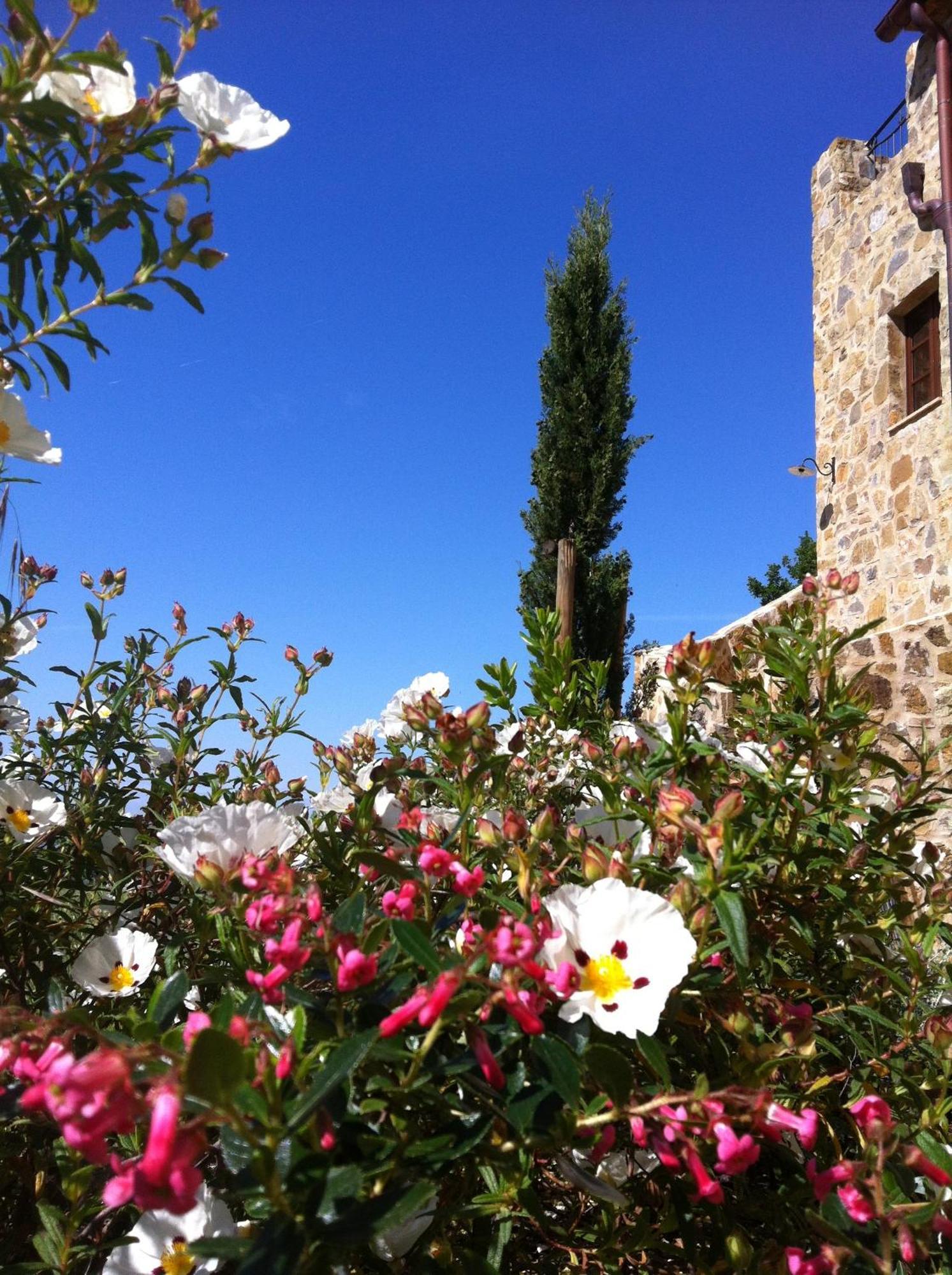 Apartamento Castel Brunello Montalcino