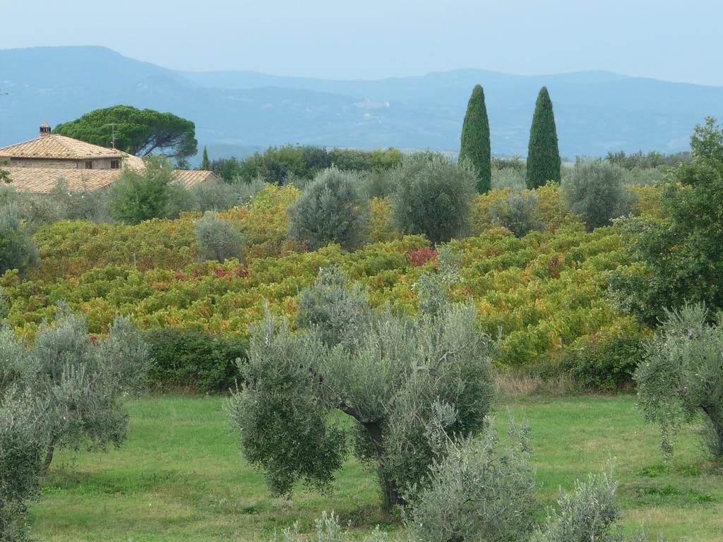 Castel Brunello * Montalcino